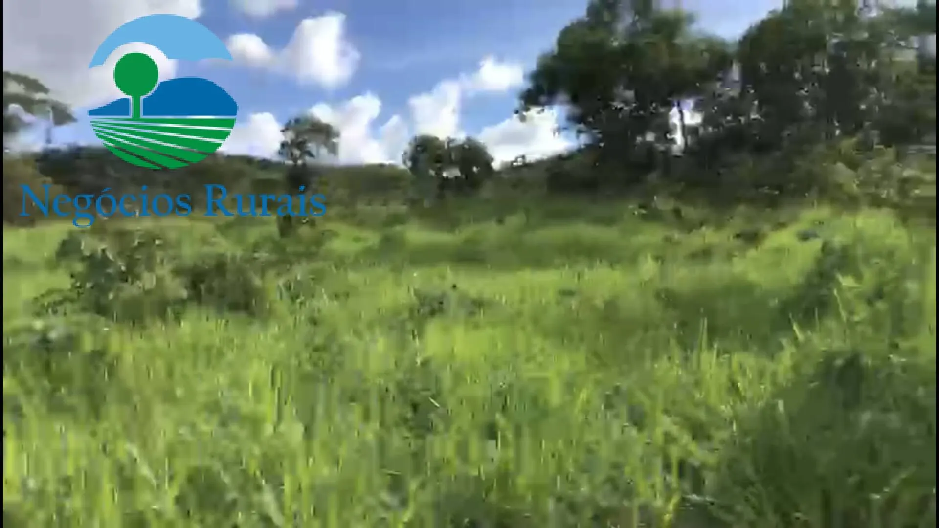 Fazenda à venda de 208 ha em Nova Iguaçu de Goiás, GO, Brasil