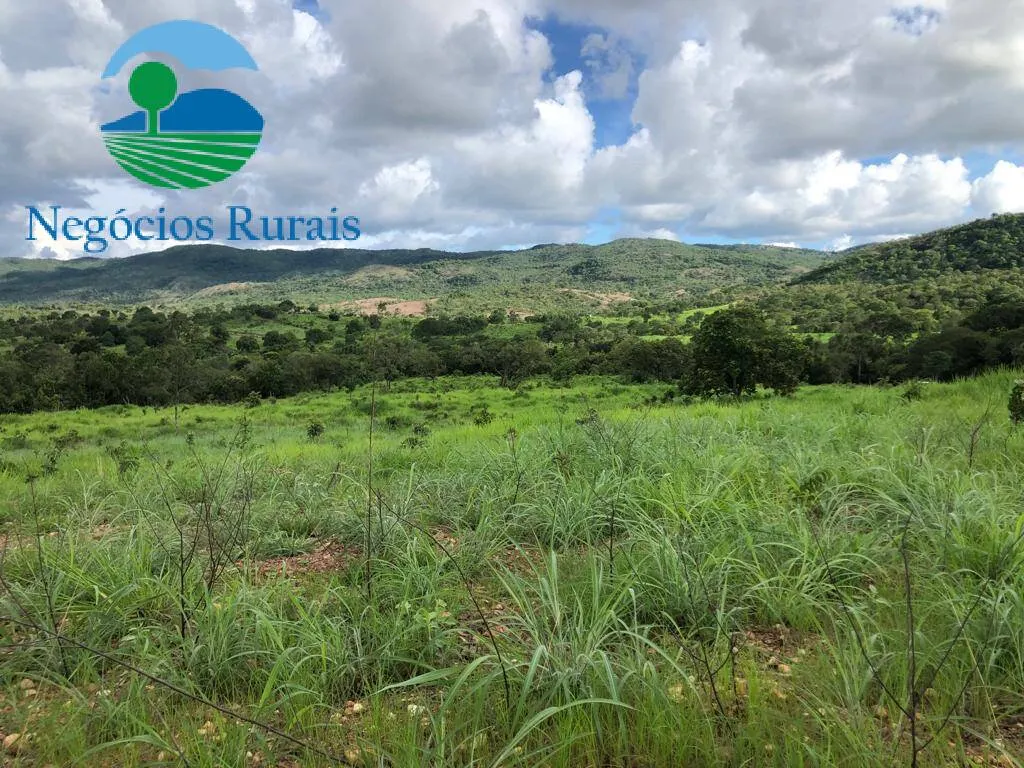 Fazenda à venda de 208 ha em Nova Iguaçu de Goiás, GO, Brasil