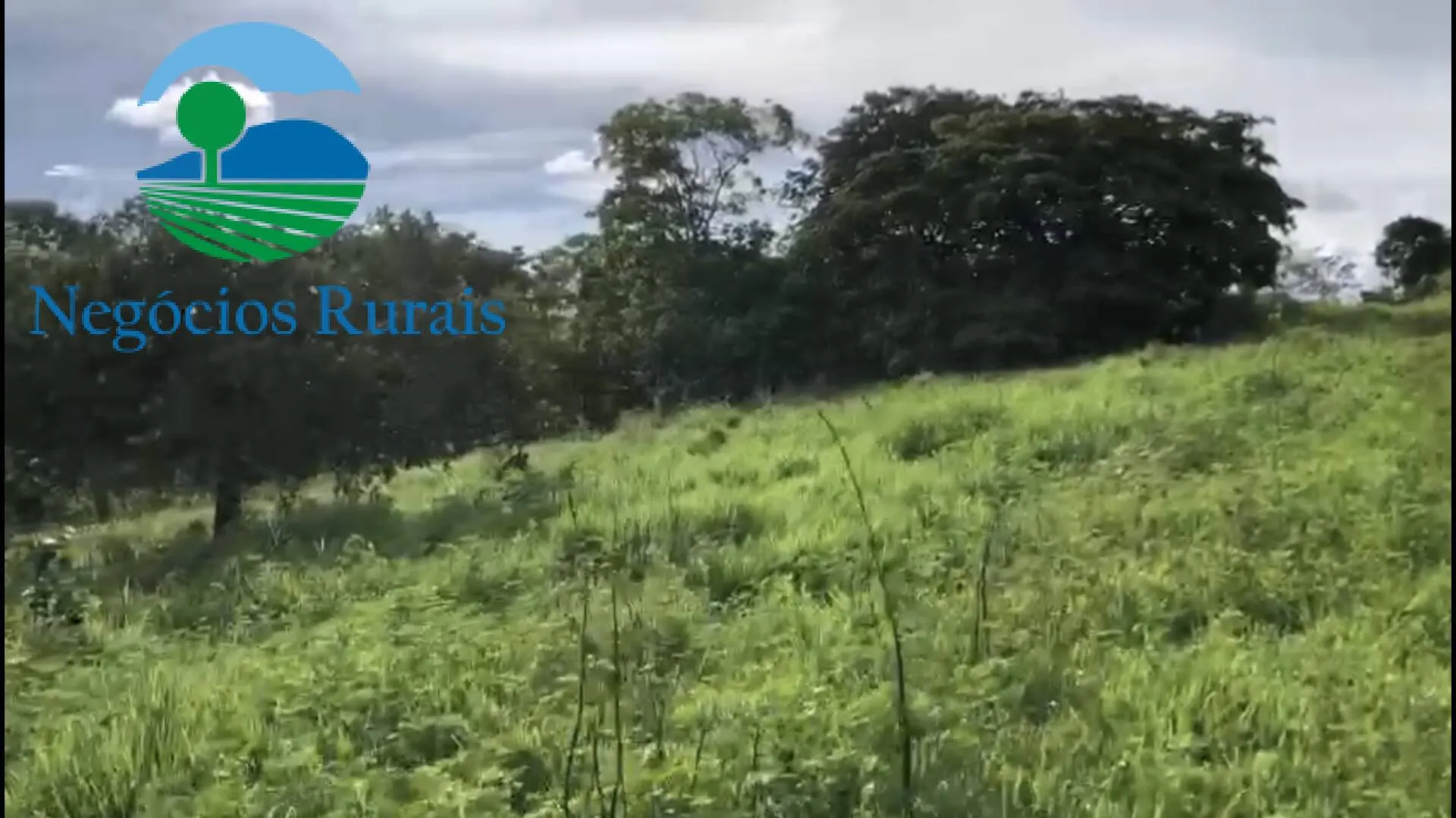 Fazenda à venda de 208 ha em Nova Iguaçu de Goiás, GO, Brasil