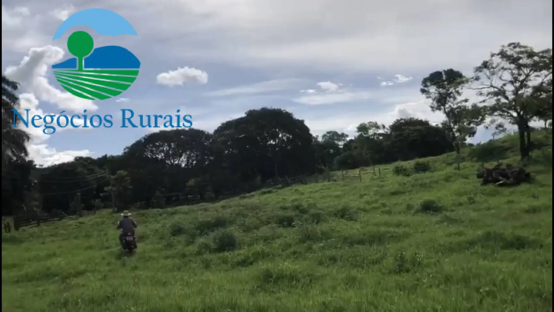 Fazenda à venda de 208 ha em Nova Iguaçu de Goiás, GO, Brasil