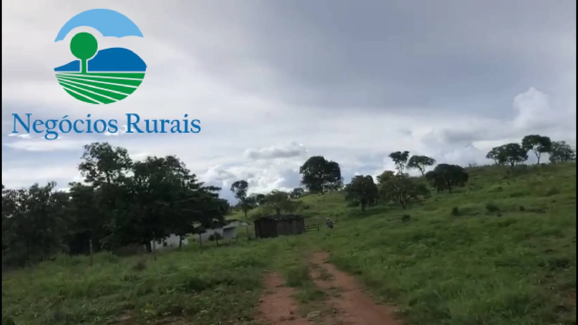 Fazenda à venda de 208 ha em Nova Iguaçu de Goiás, GO, Brasil