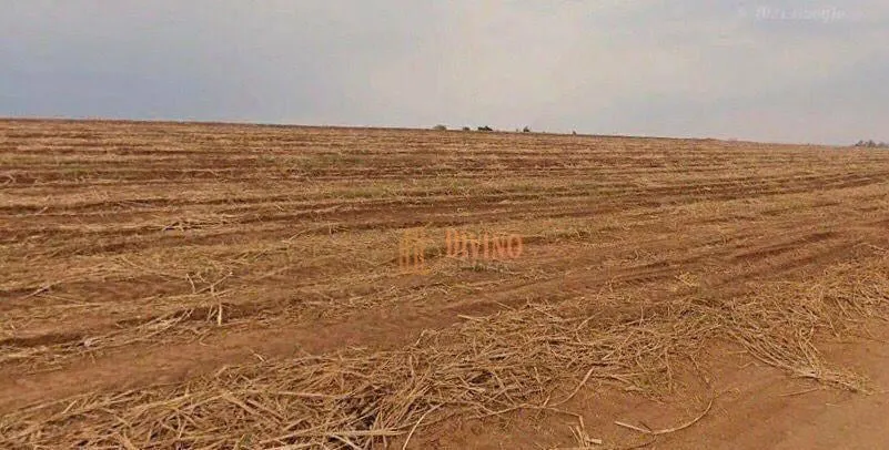 Fazenda à venda de 387 ha em Porto Feliz, SP, Brasil