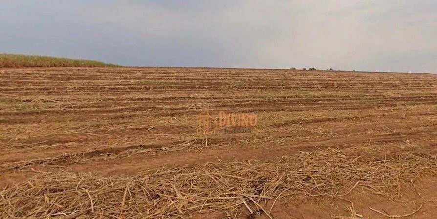 Fazenda à venda de 387 ha em Porto Feliz, SP, Brasil