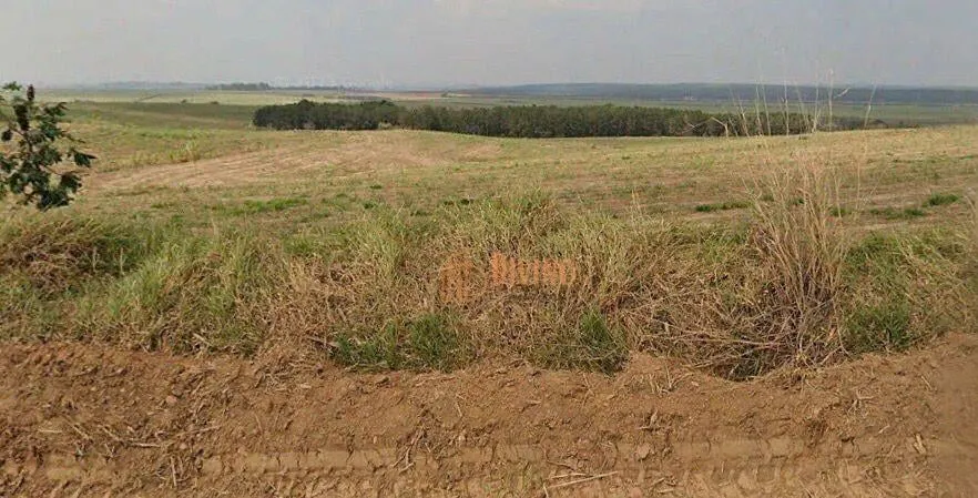 Fazenda à venda de 387 ha em Porto Feliz, SP, Brasil