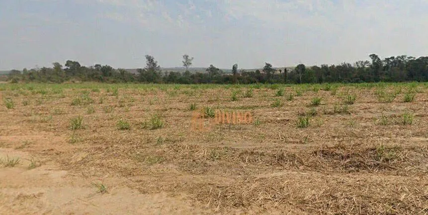 Fazenda à venda de 387 ha em Porto Feliz, SP, Brasil