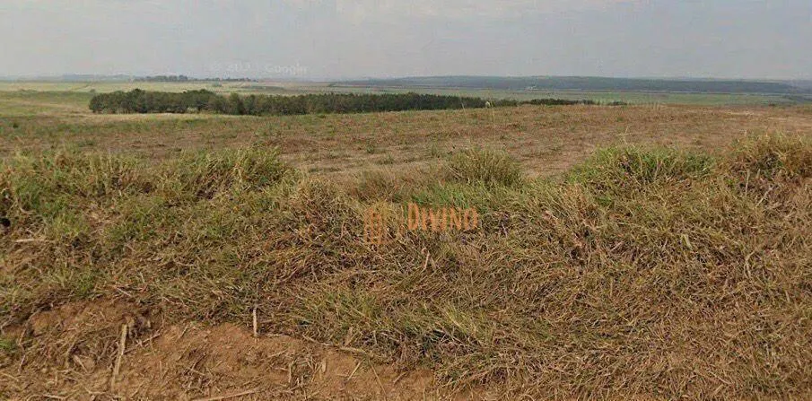 Fazenda à venda de 387 ha em Porto Feliz, SP, Brasil