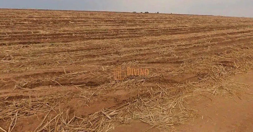 Fazenda à venda de 387 ha em Porto Feliz, SP, Brasil