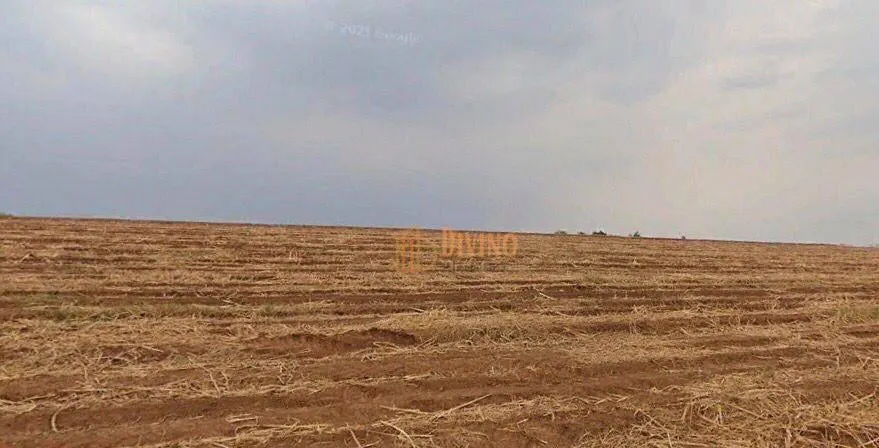 Fazenda à venda de 387 ha em Porto Feliz, SP, Brasil