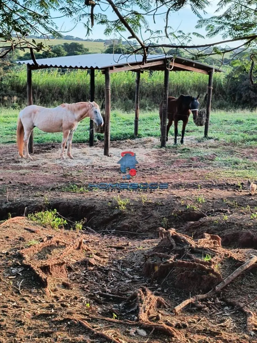 Fazenda à venda de 109 ha em Jales, SP, Brasil