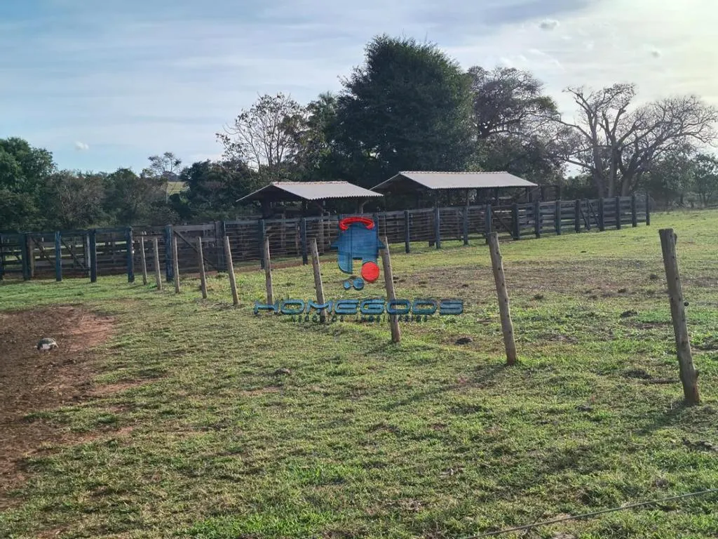 Fazenda à venda de 109 ha em Jales, SP, Brasil