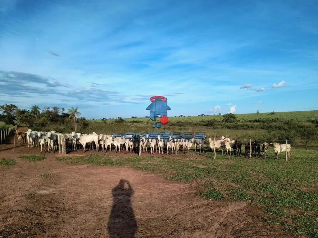 Fazenda à venda de 109 ha em Jales, SP, Brasil