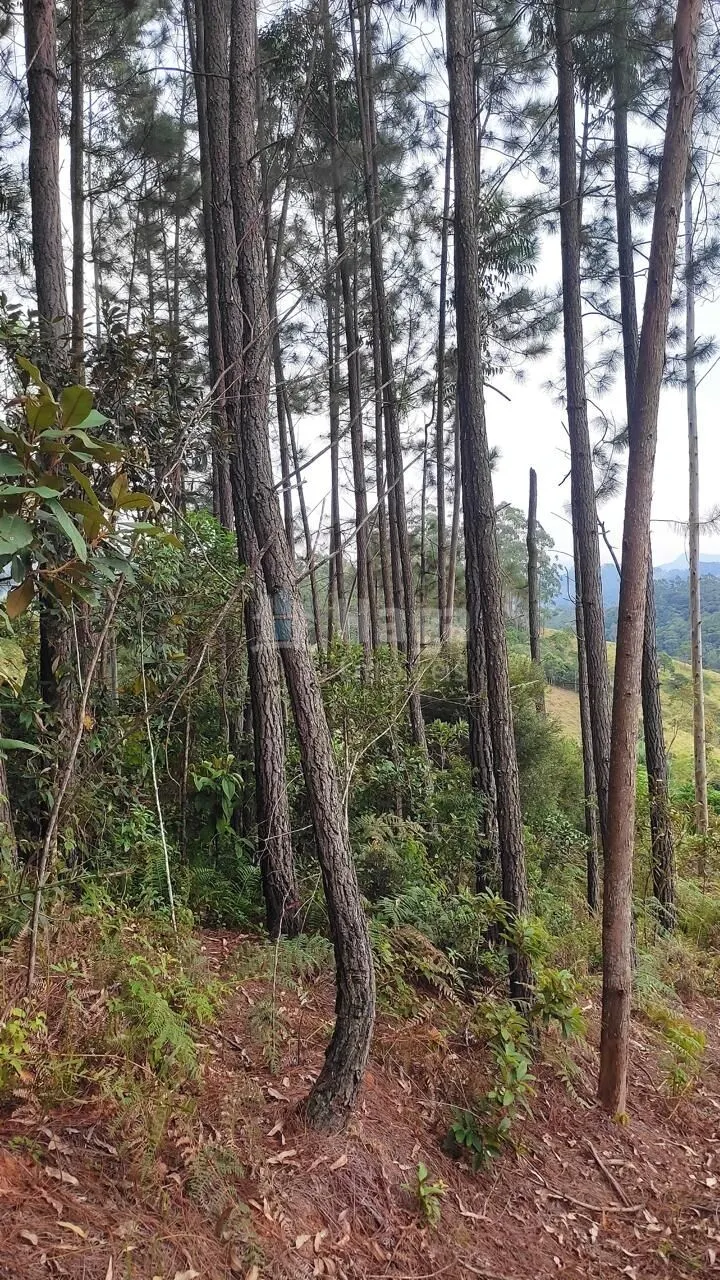 Fazenda à venda de 7 ha em São João Batista, SC, Brasil
