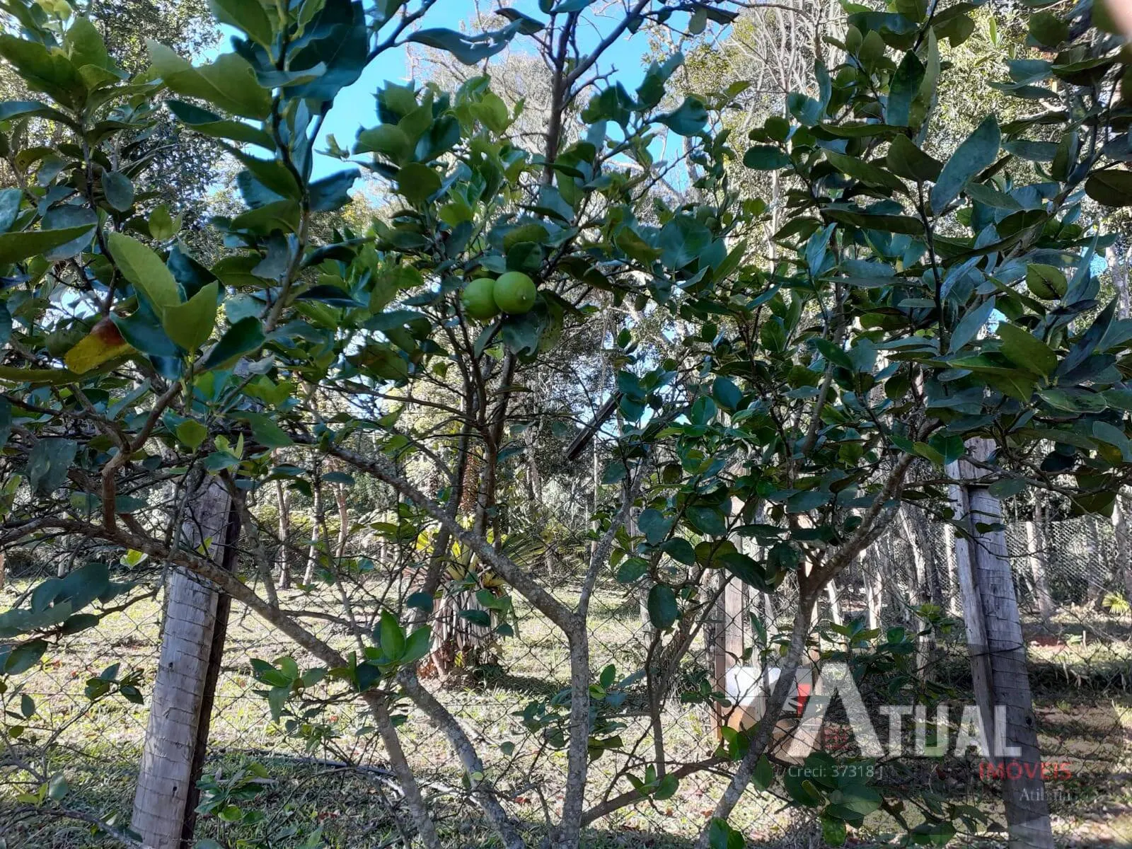 Plot for sale of 3,000 m² in Camanducaia, MG, Brazil