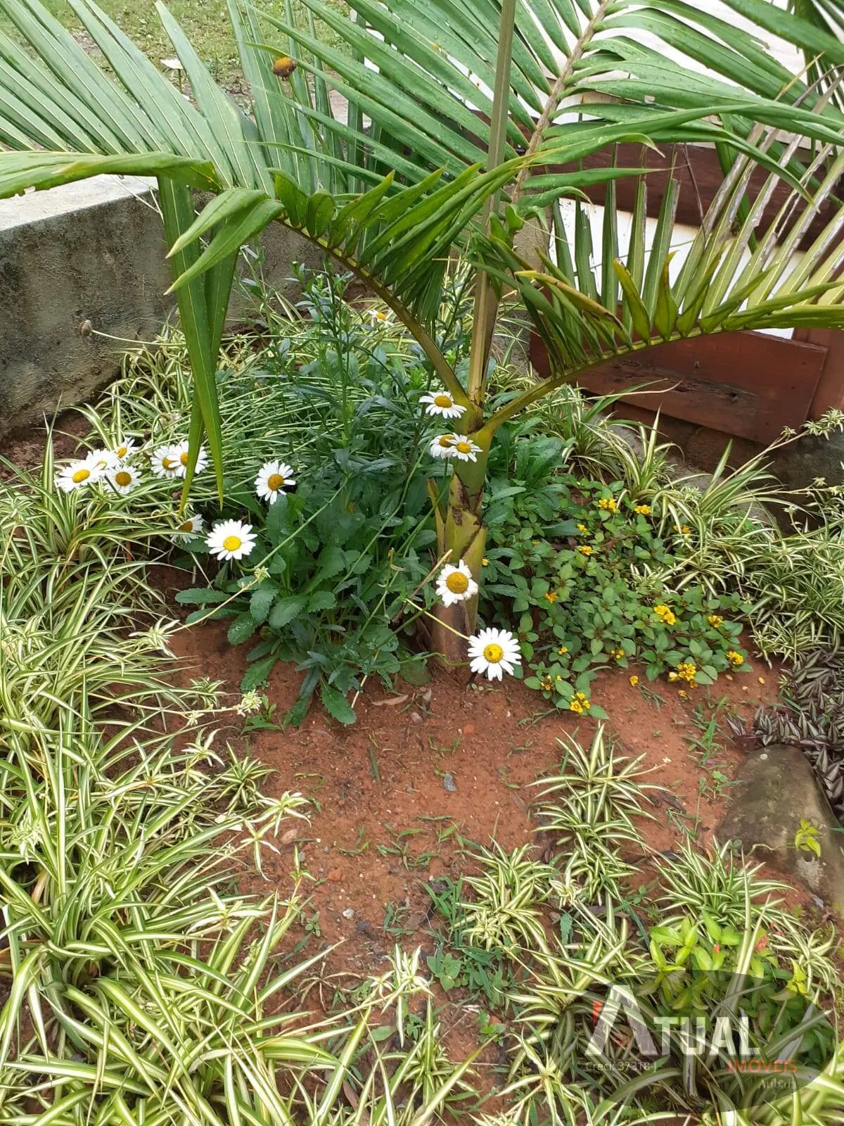 Plot for sale of 3,000 m² in Camanducaia, MG, Brazil