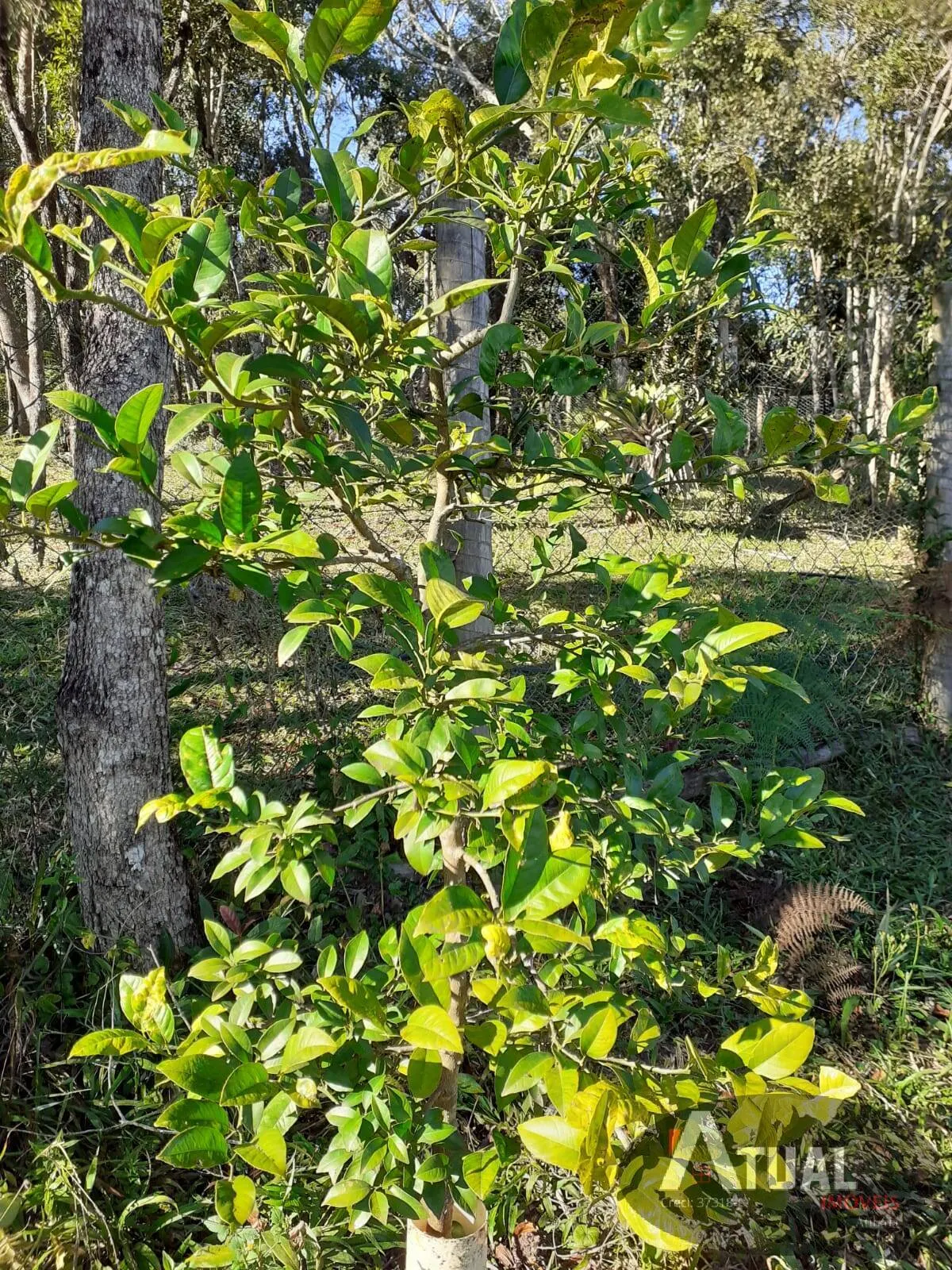 Plot for sale of 3,000 m² in Camanducaia, MG, Brazil