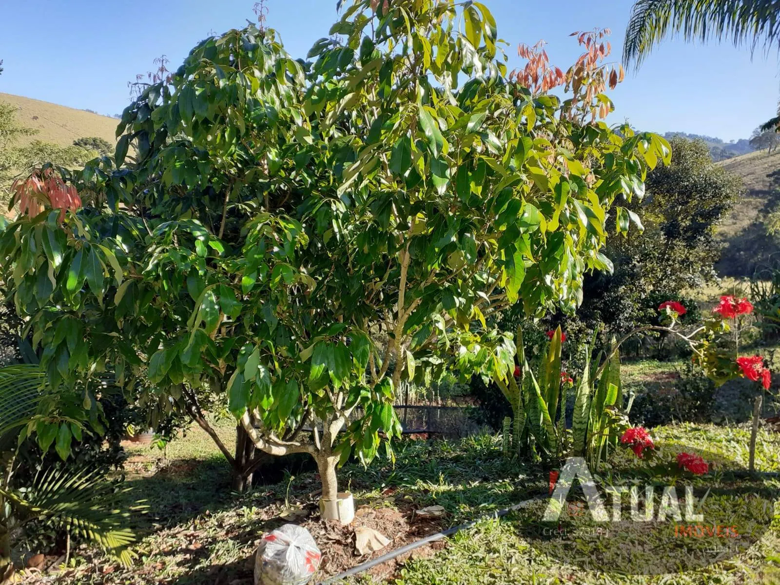 Plot for sale of 3,000 m² in Camanducaia, MG, Brazil