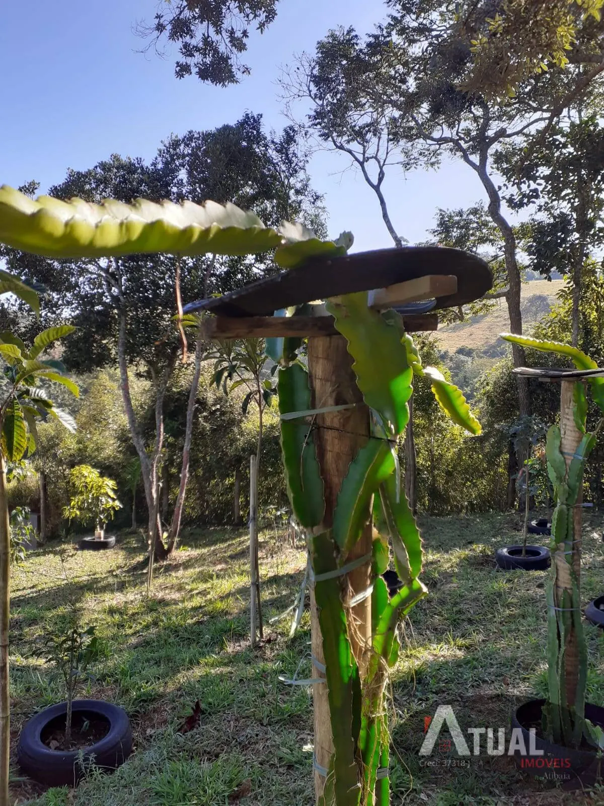 Plot for sale of 3,000 m² in Camanducaia, MG, Brazil