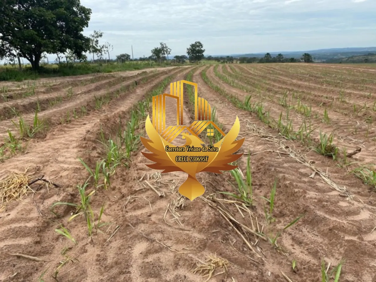 Sítio à venda de 28 ha em Ribeirão Preto, SP, Brasil