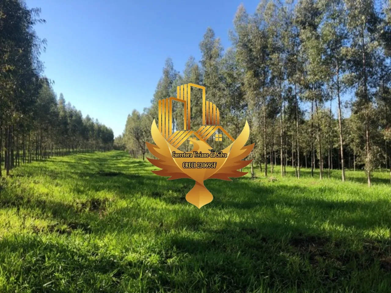 Sítio à venda de 28 ha em Ribeirão Preto, SP, Brasil