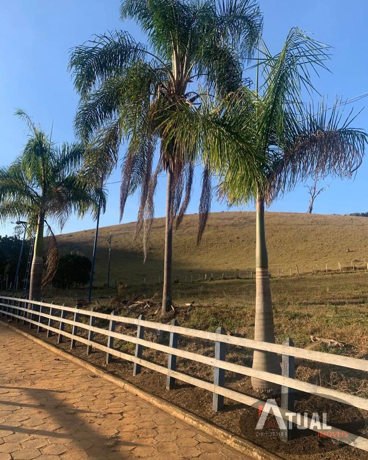 Sítio à venda de 33 ha em Piranguinho, MG, Brasil