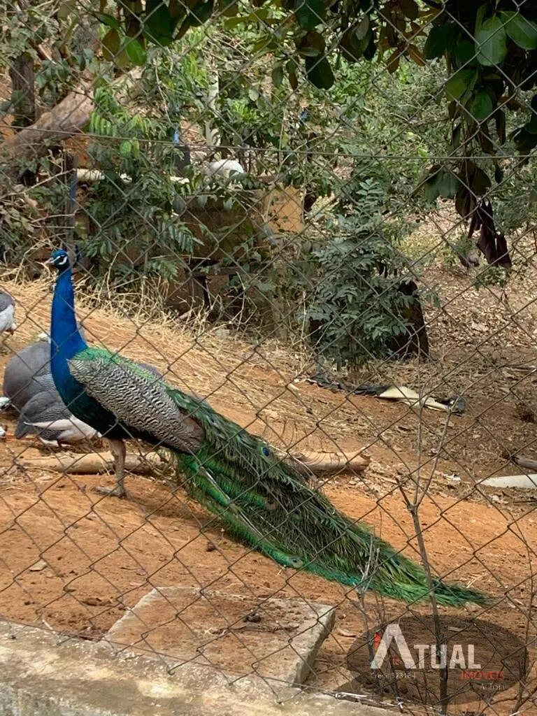 Sítio à venda de 33 ha em Piranguinho, MG, Brasil