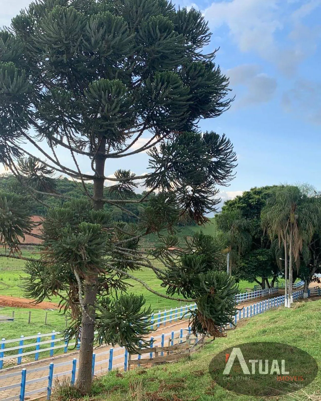 Sítio à venda de 33 ha em Piranguinho, MG, Brasil