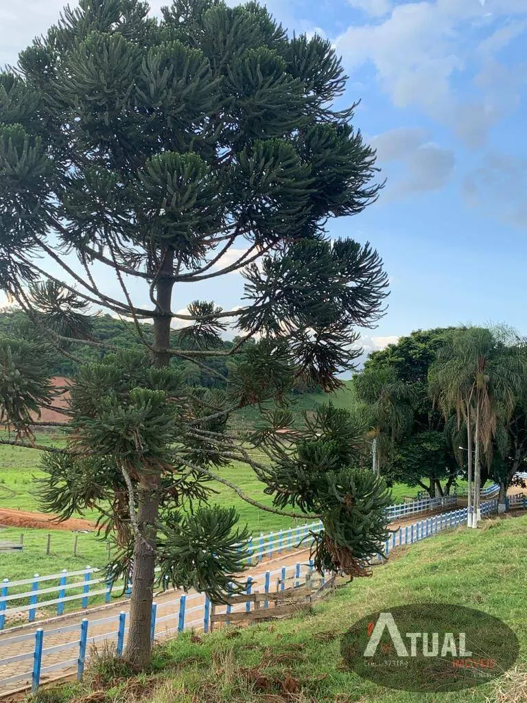 Sítio à venda de 33 ha em Piranguinho, MG, Brasil