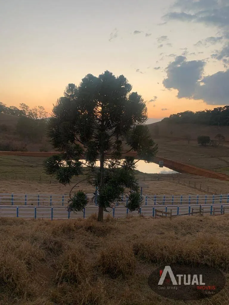 Sítio à venda de 33 ha em Piranguinho, MG, Brasil