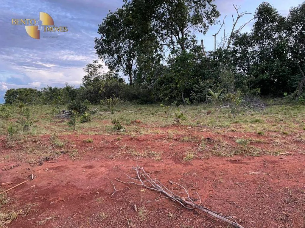 Fazenda à venda de 1.920 ha em Tesouro, MT, Brasil