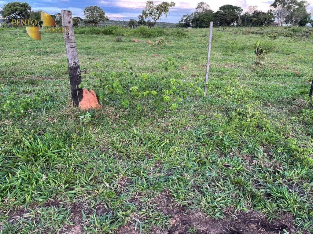 Fazenda à venda de 1.920 ha em Tesouro, MT, Brasil