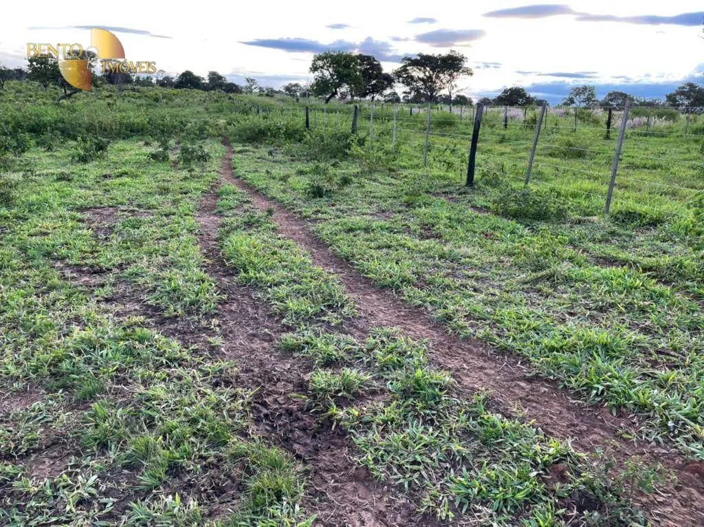 Fazenda à venda de 1.920 ha em Tesouro, MT, Brasil