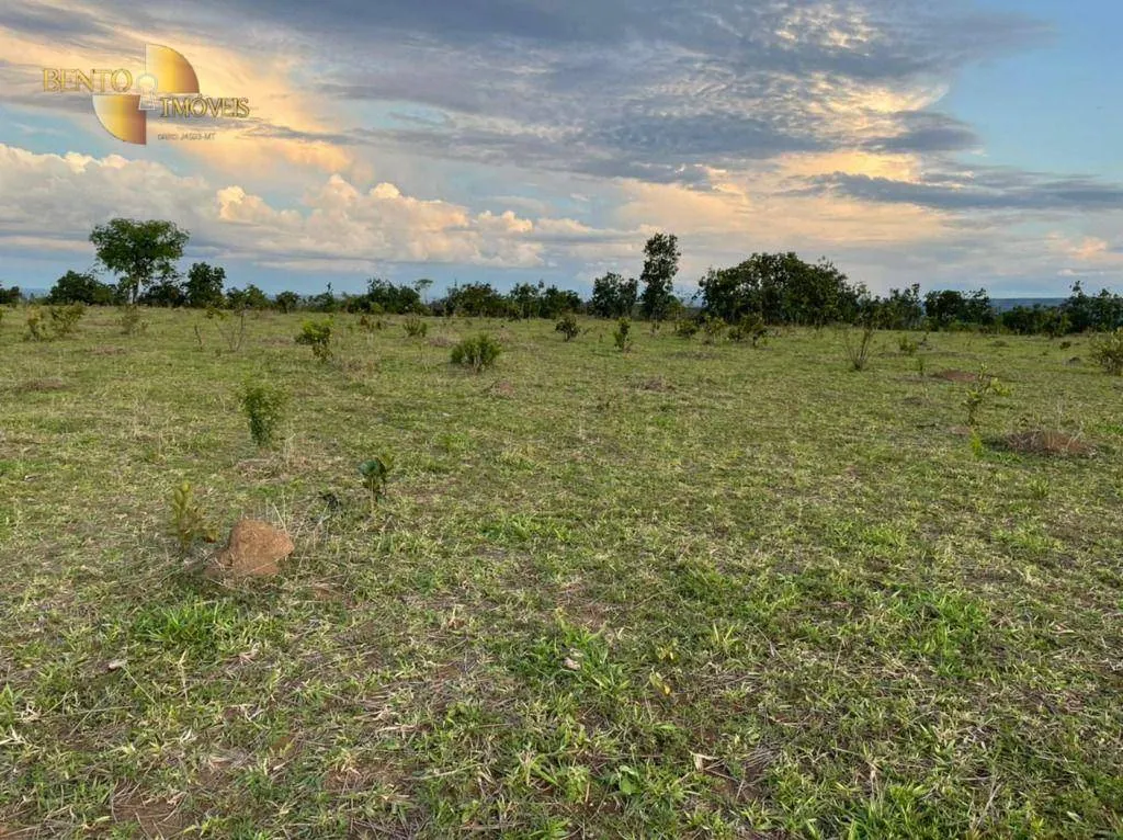 Fazenda à venda de 1.920 ha em Tesouro, MT, Brasil