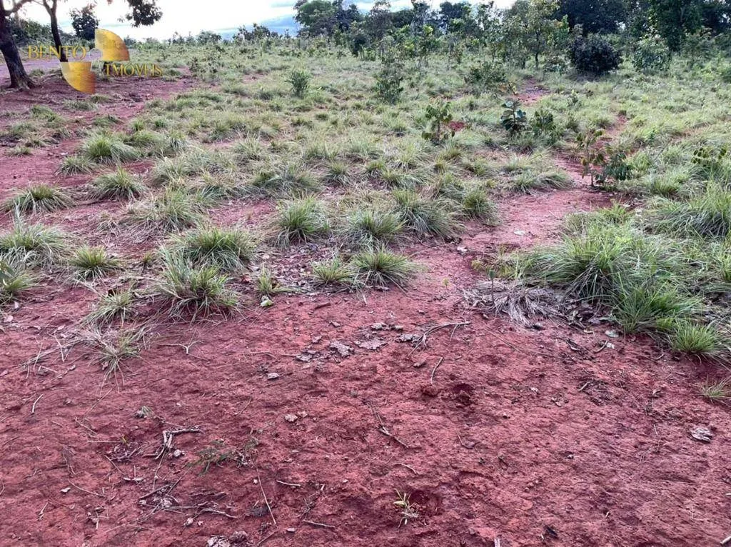 Fazenda à venda de 1.920 ha em Tesouro, MT, Brasil