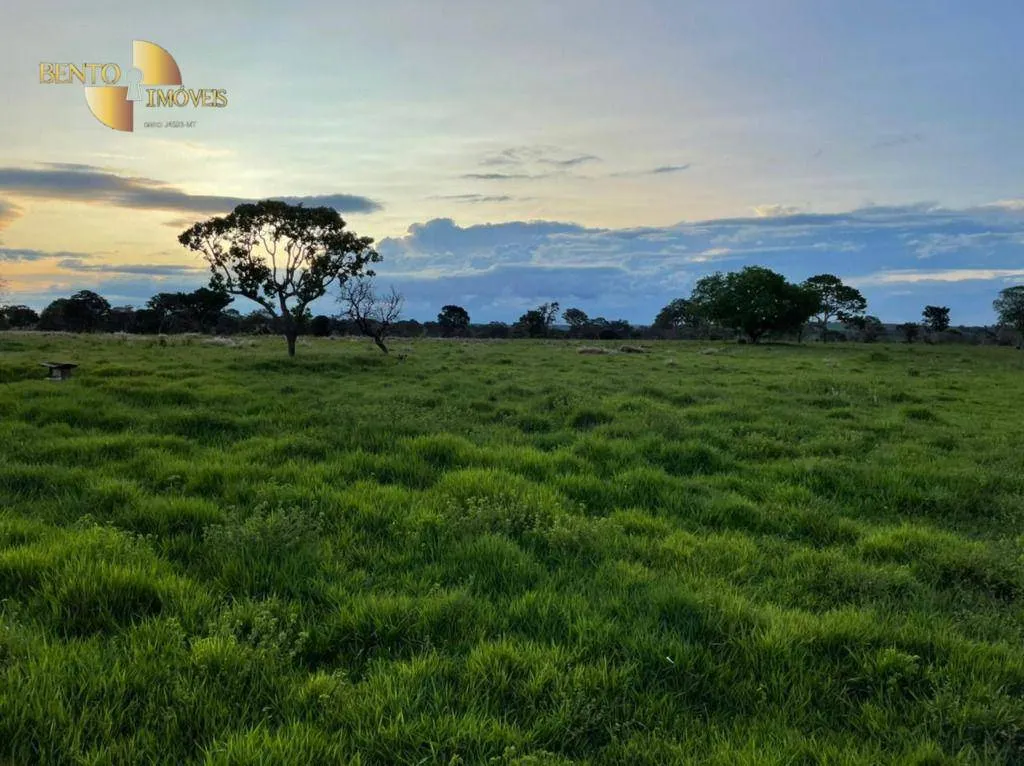 Fazenda à venda de 1.920 ha em Tesouro, MT, Brasil