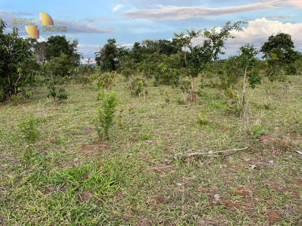 Fazenda à venda de 1.920 ha em Tesouro, MT, Brasil