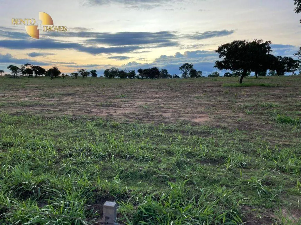 Fazenda à venda de 1.920 ha em Tesouro, MT, Brasil