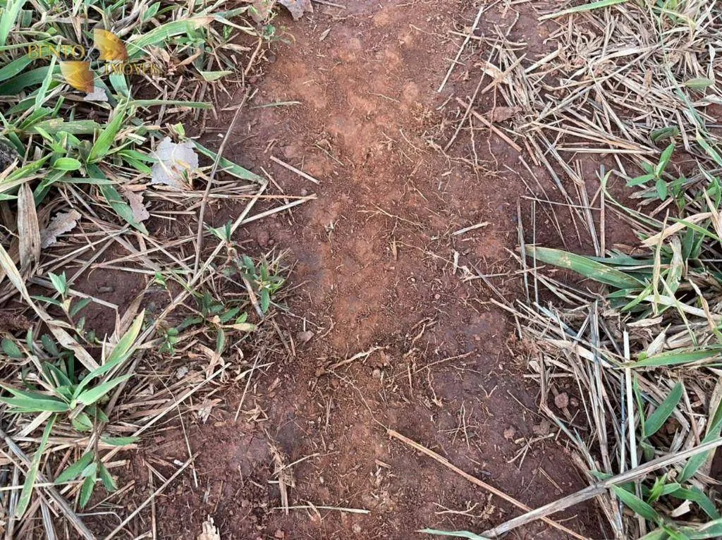 Fazenda à venda de 1.920 ha em Tesouro, MT, Brasil
