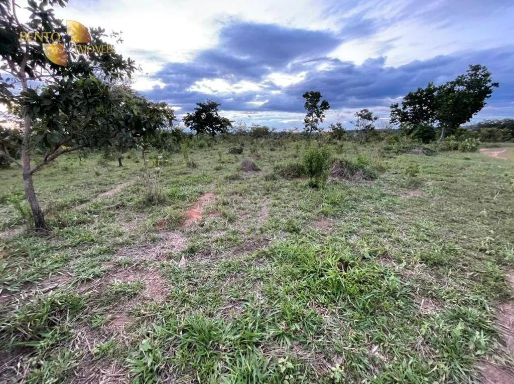 Fazenda à venda de 1.920 ha em Tesouro, MT, Brasil