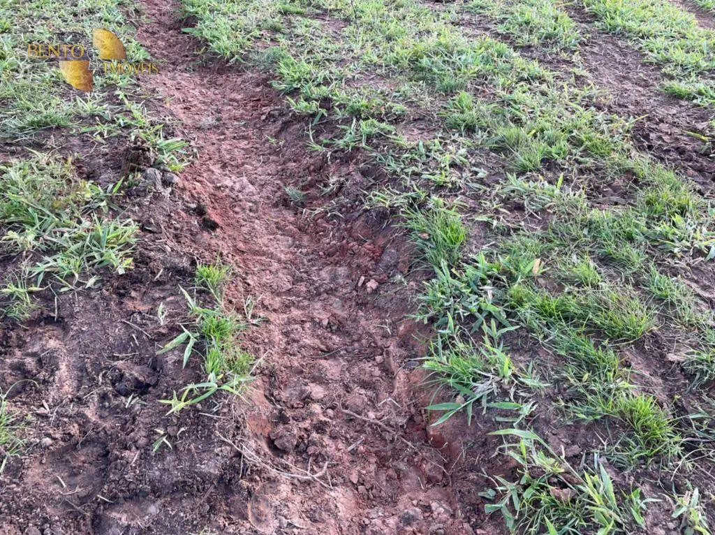 Fazenda à venda de 1.920 ha em Tesouro, MT, Brasil