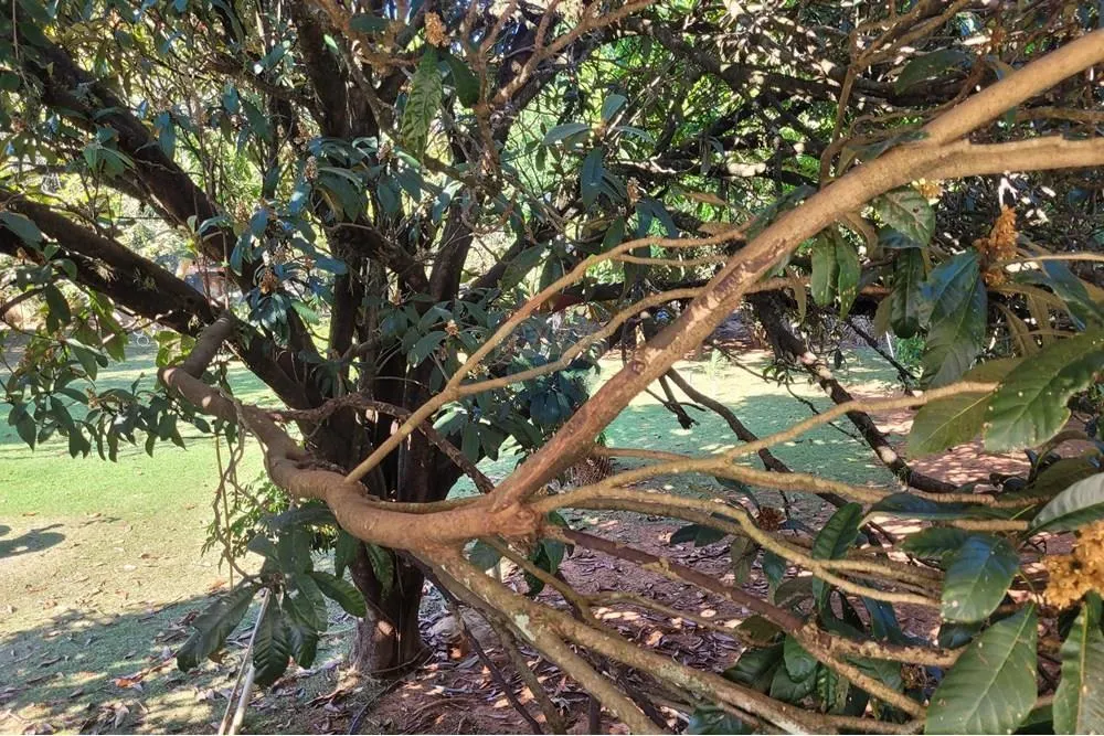 Chácara à venda de 3.197 m² em Araçoiaba da Serra, SP, Brasil