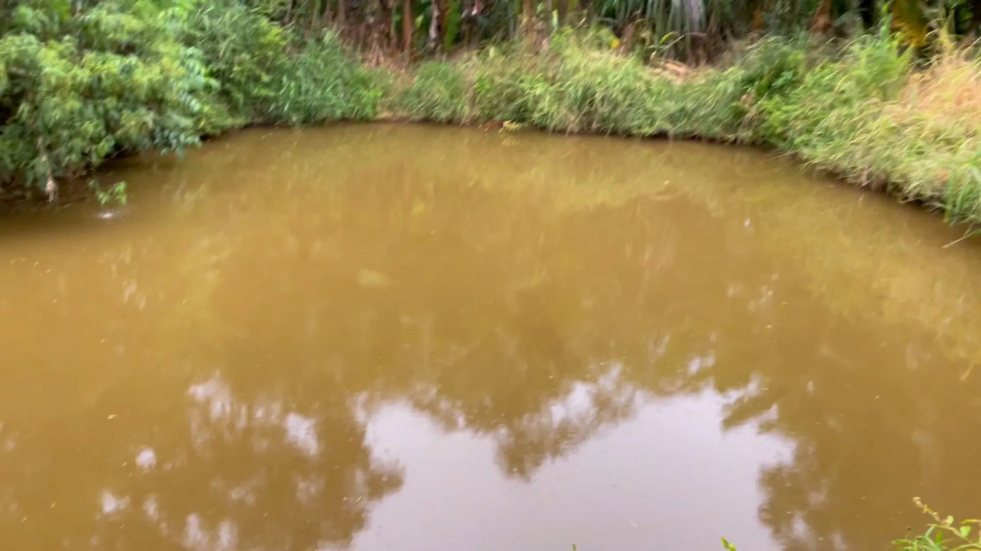 Country home for sale of 2,000 m² in Caraá, RS, Brazil