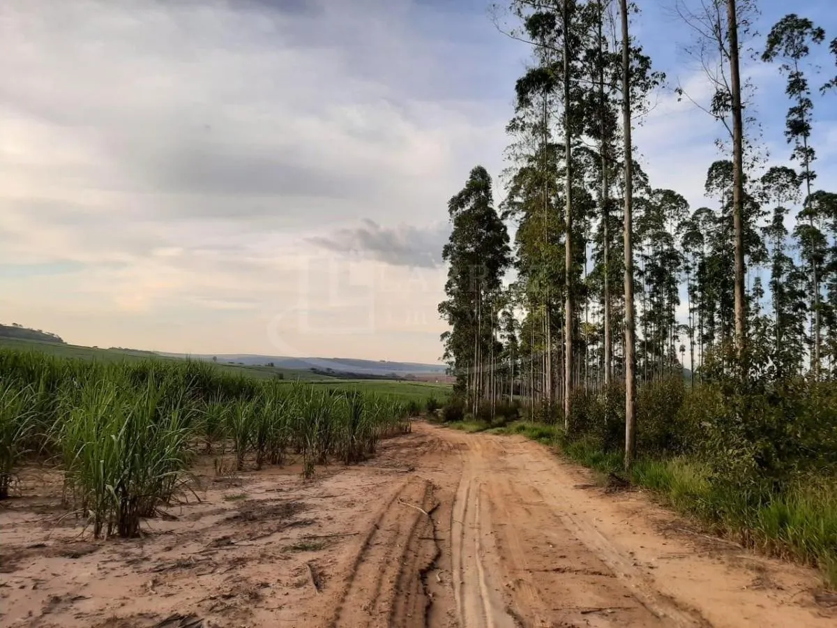 Small farm for sale of 121 acres in Altinópolis, SP, Brazil
