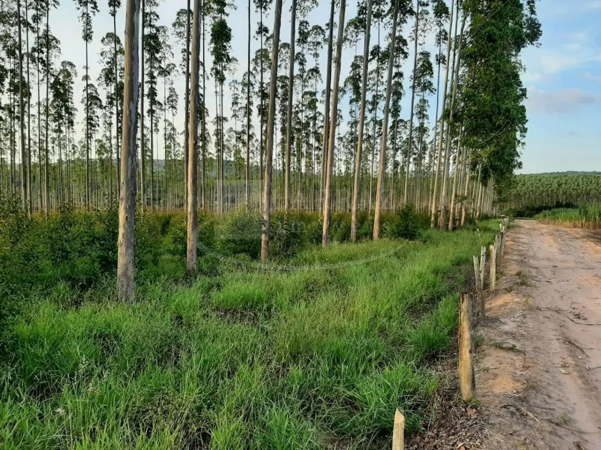 Small farm for sale of 121 acres in Altinópolis, SP, Brazil