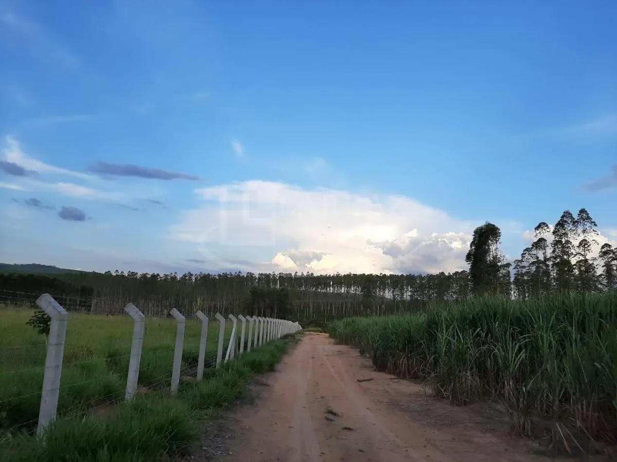 Small farm for sale of 121 acres in Altinópolis, SP, Brazil