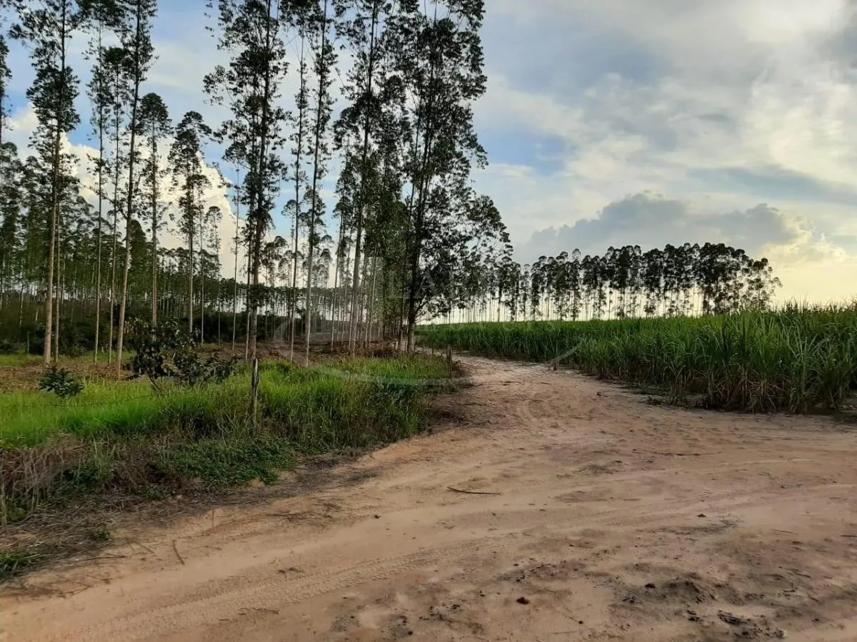 Small farm for sale of 121 acres in Altinópolis, SP, Brazil