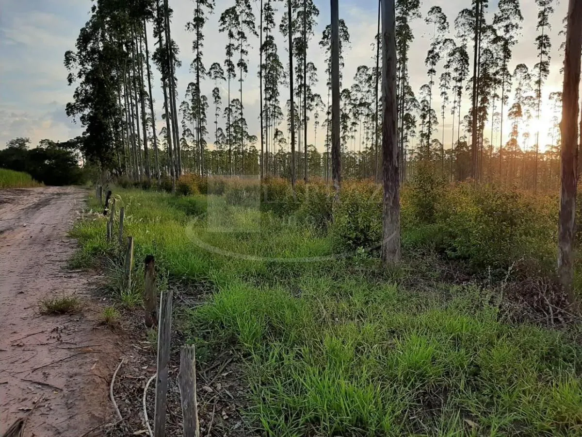Small farm for sale of 121 acres in Altinópolis, SP, Brazil