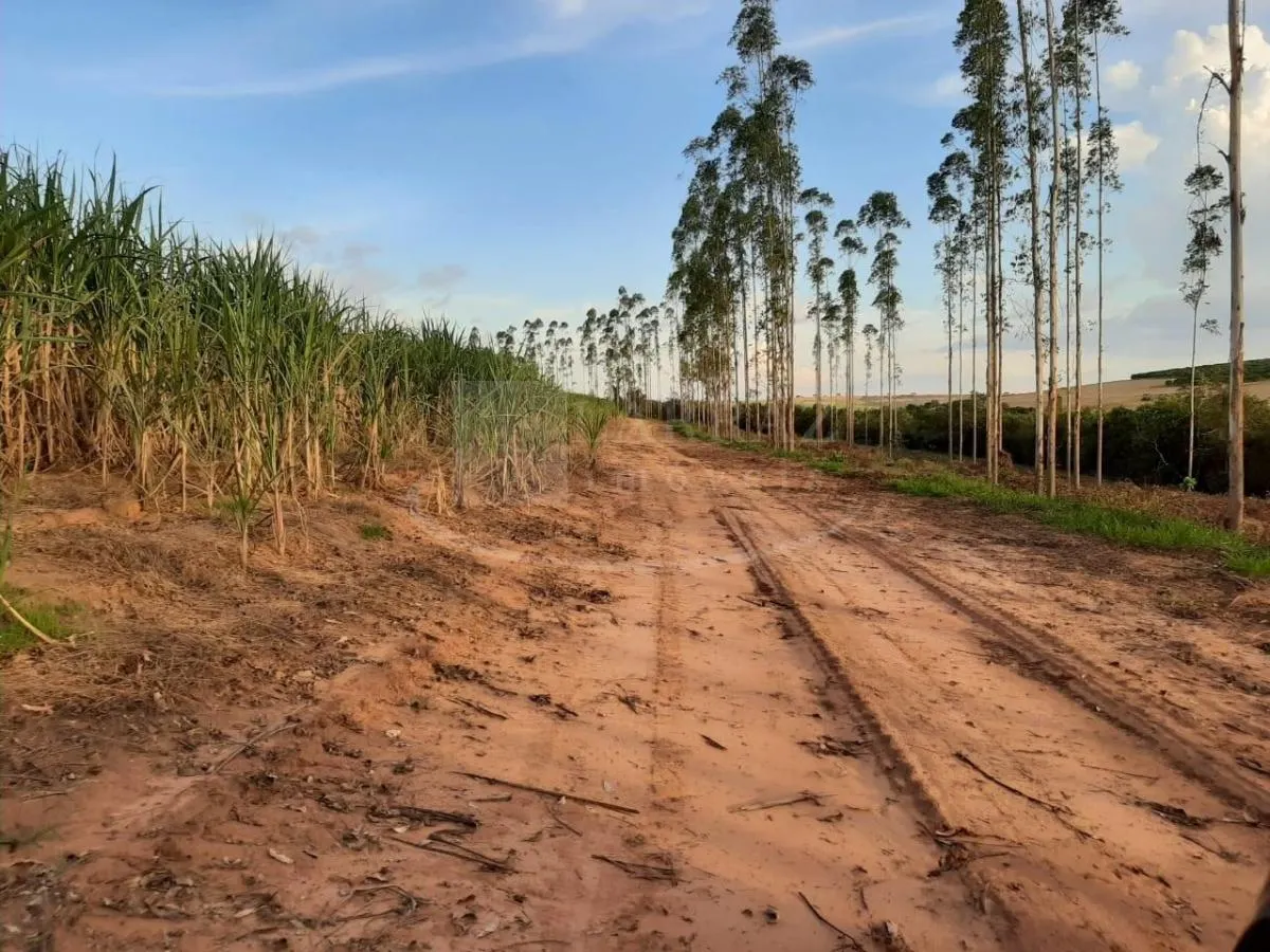 Small farm for sale of 121 acres in Altinópolis, SP, Brazil