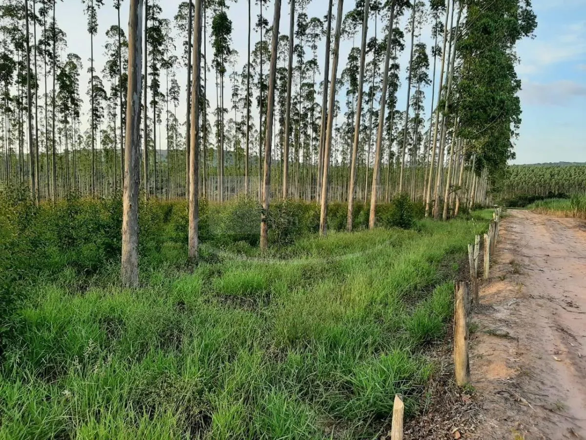 Small farm for sale of 121 acres in Altinópolis, SP, Brazil