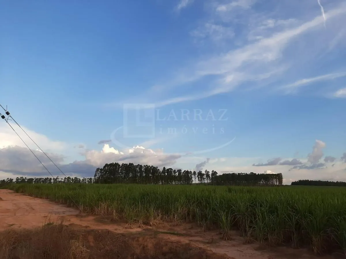 Small farm for sale of 121 acres in Altinópolis, SP, Brazil