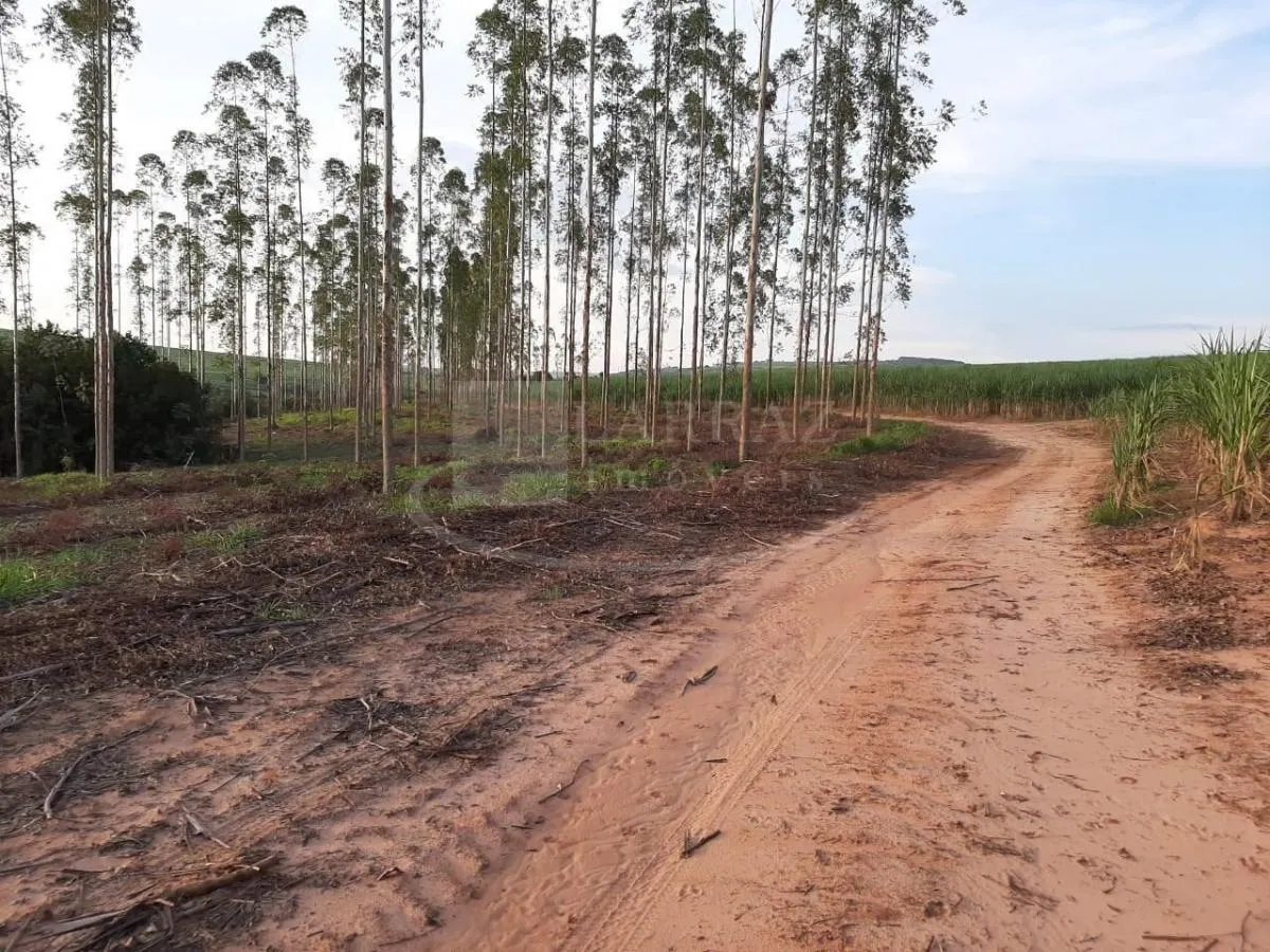 Small farm for sale of 121 acres in Altinópolis, SP, Brazil